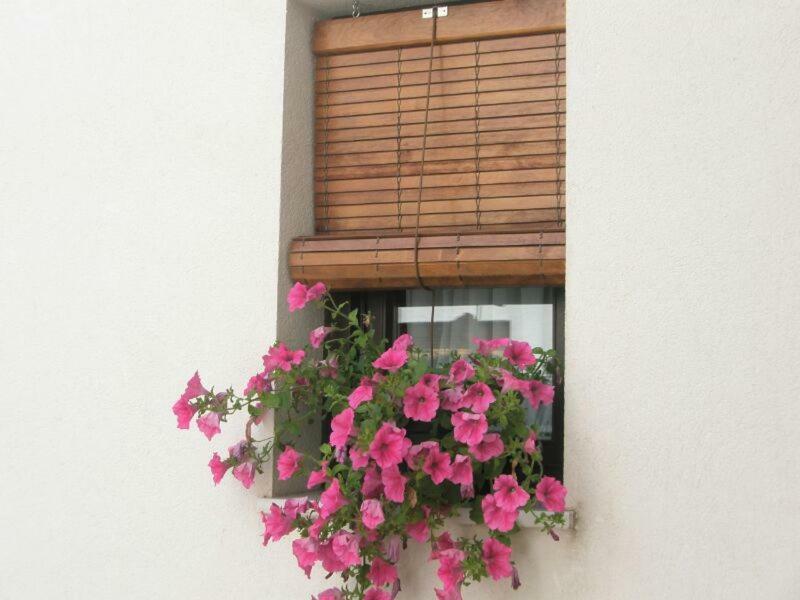 Apartamentos La Ribera Córdoba Eksteriør billede